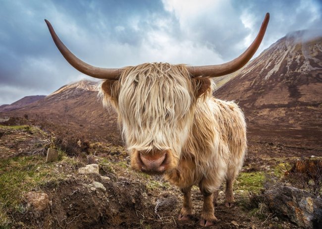 Repülj és vezess! — Glasgow, Edinburgh, a Felföld és Skye szigete 