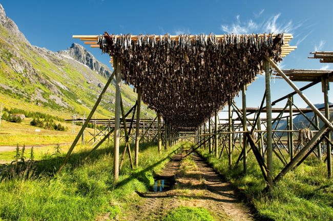 A Lofoten-szigetek csodái: csoportos utazás magyar idegenvezetéssel 2025.08.20-25.