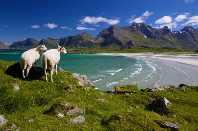 A Lofoten-szigetek csodái: csoportos utazás magyar idegenvezetéssel 2025.08.20-25.