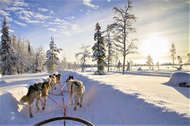 Téli kalandok Lappföldön a sarkkörön túl - csoportos utazás magyar idegenvezetéssel 2025.12.12-15.