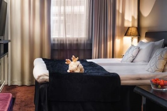 Téli kalandok finn Lappföldön - csoportos utazás magyar idegenvezetéssel - 2026.12.10-13.