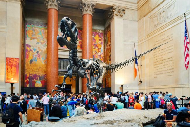 American Museum of Natural History
